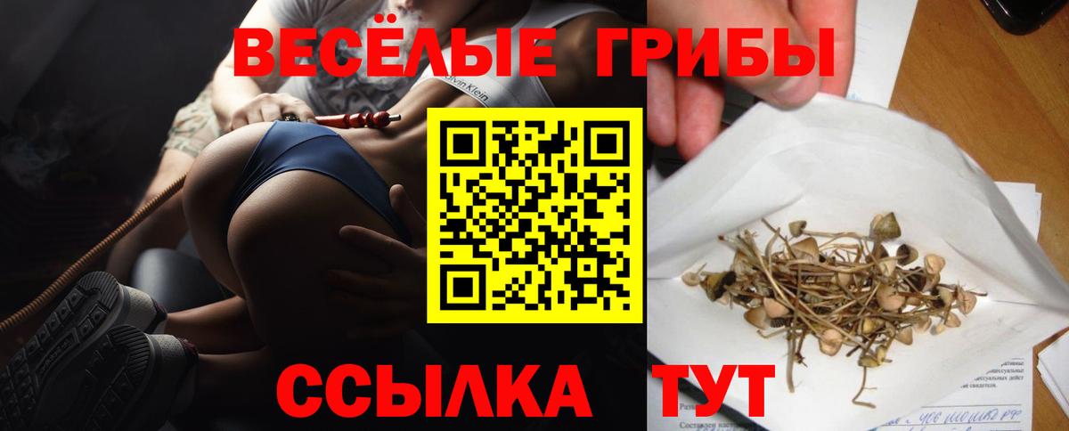 Псилоцибиновые грибы мицелий  Вход с VPN  Нерюнгри  где найти   Псилоцибиновые грибы Cubensis 