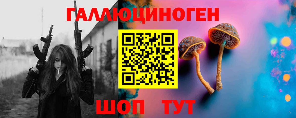 Псилоцибиновые грибы Cubensis Нерюнгри